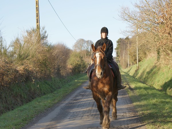 Osiris 8 ans jument très sympa, elle est montée et attelée, montée par Sandra à Ploumagoar.