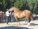 Concours