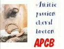 film APCB