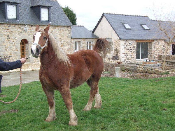 Udemay De La Garde, vendue en Février 2010 dans le XVIème à Paris.